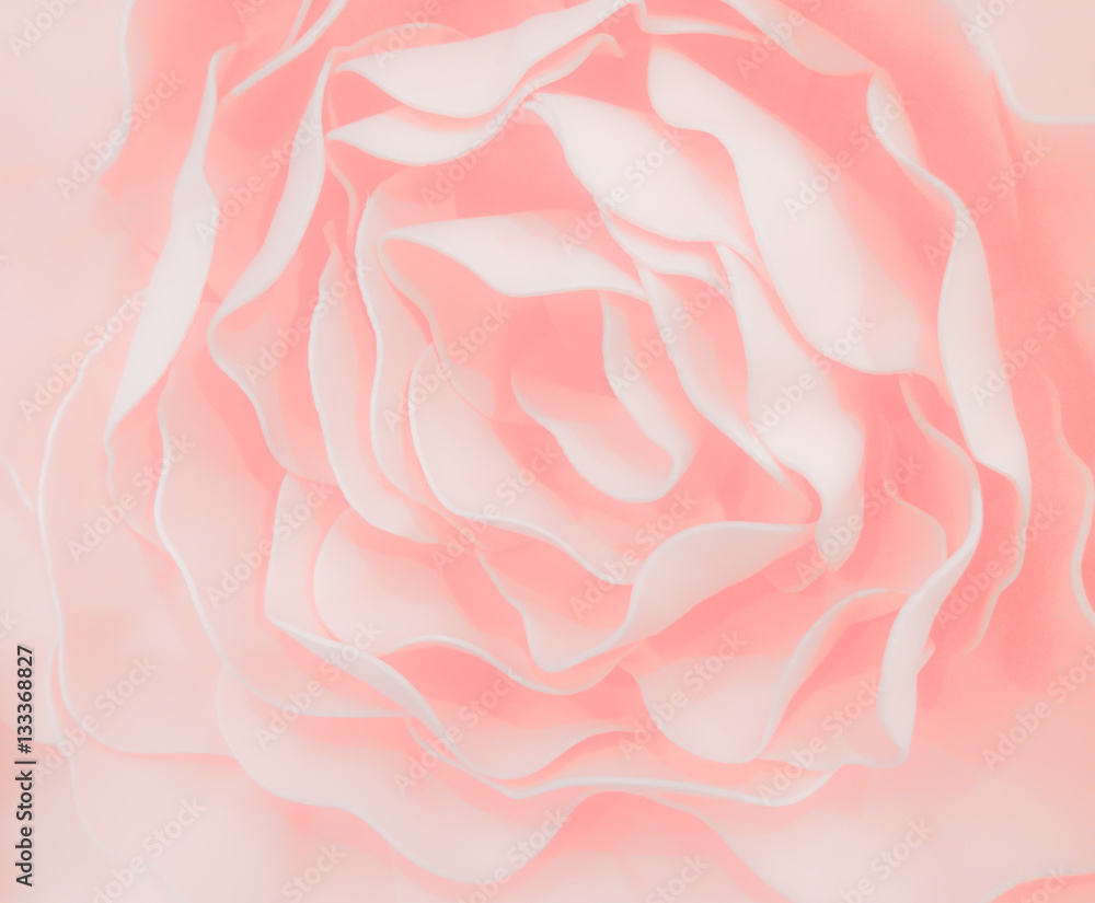 sweet color roses flower in pastel tone with blurred style for background pattern texture sweet color roses flower in pastel tone with blurred style for background pattern texture
