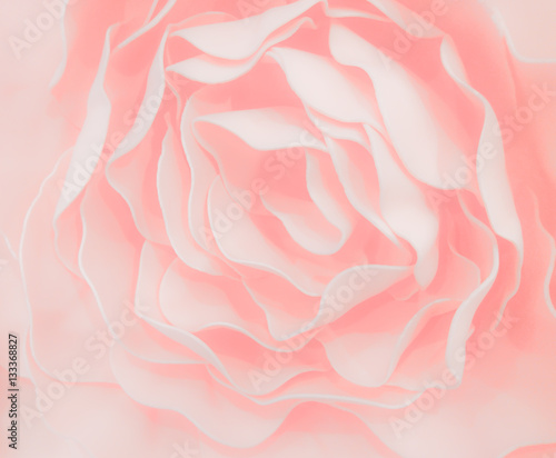sweet color roses flower in pastel tone with blurred style for background pattern texture