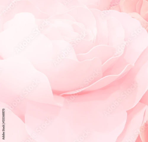 sweet color roses flower in pastel tone with blurred style for background pattern texture