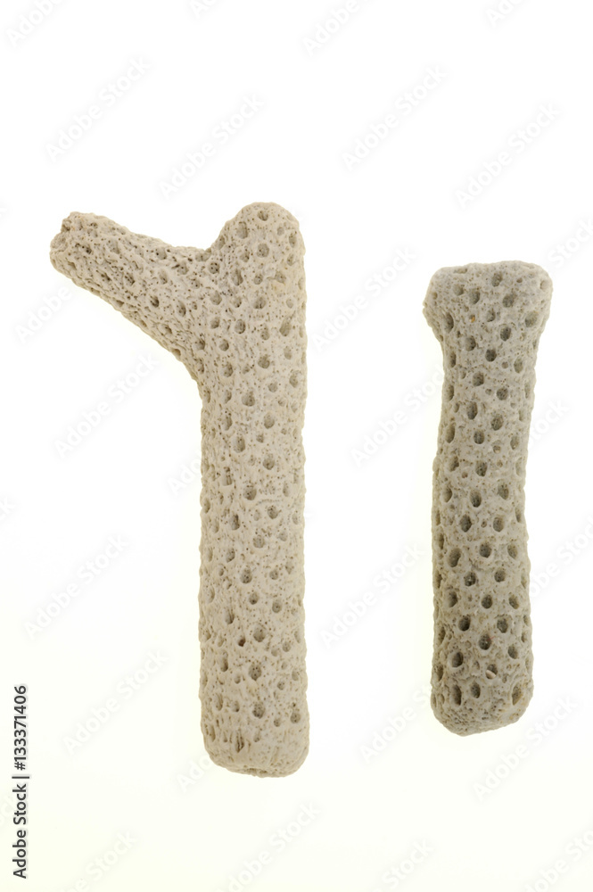 Coral Coral