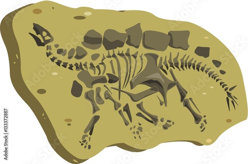Skeleton of a stegosaurus. Vector