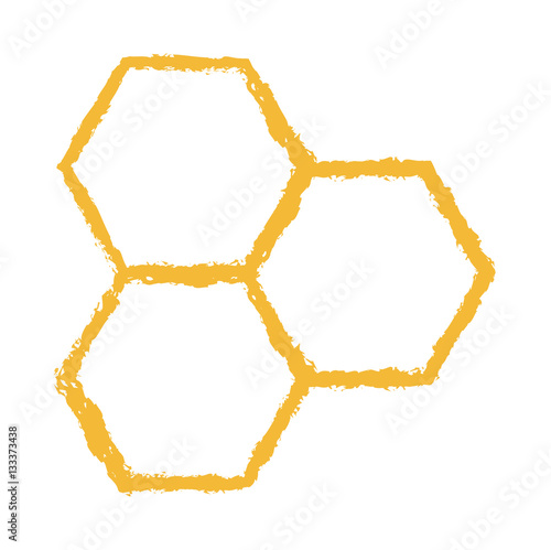 Bee comb vector