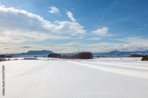雪原と函館湾遠望 © Lighthouse17