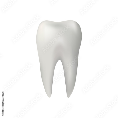 Realistic tooth. vector illustration