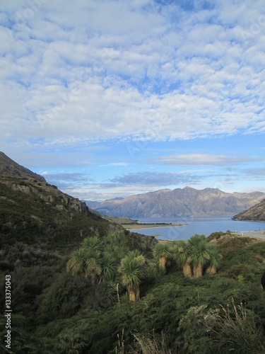 Lake Wanaka  New Zealand