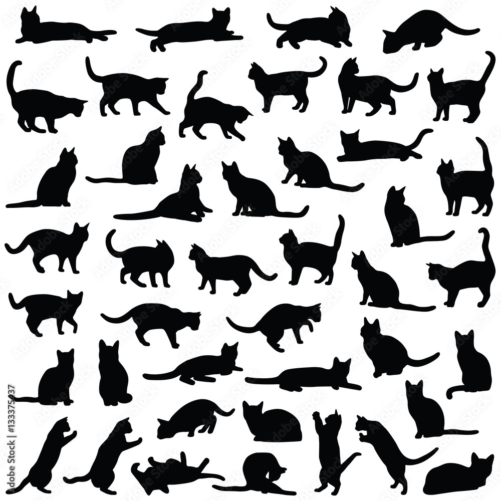 Cat collection - vector silhouette - obrazy, fototapety, plakaty 