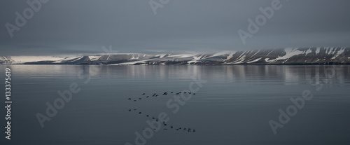 Arctic landscape in Svalbard, Spitsbergen