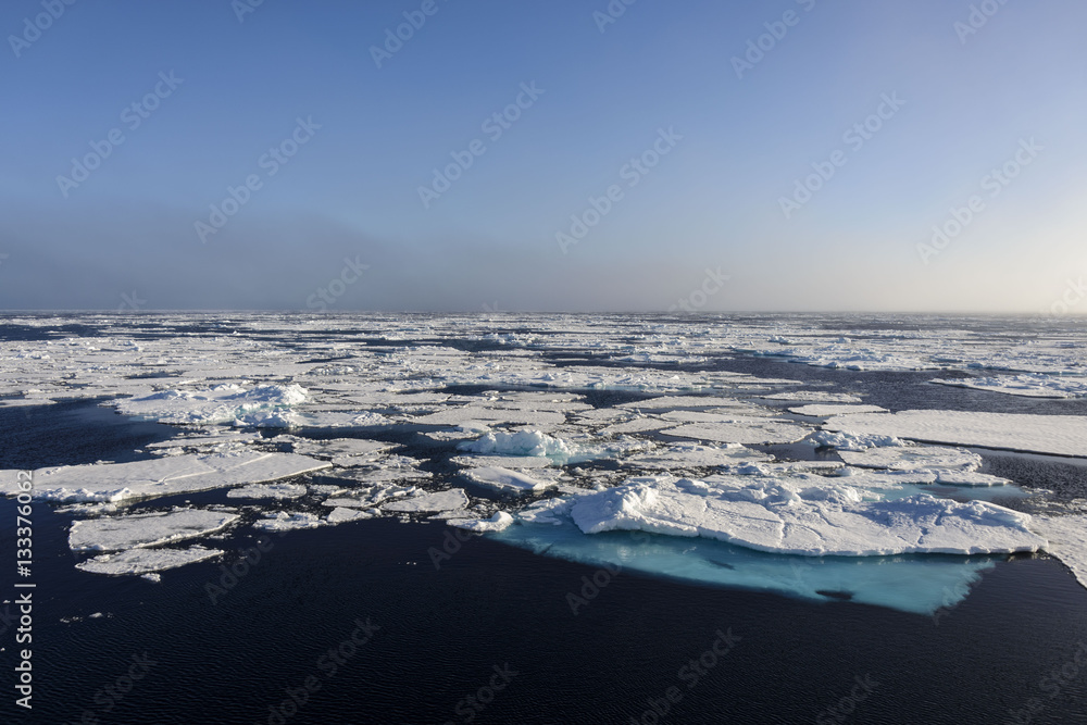 Fototapeta premium Arctic landscape in Svalbard, Spitsbergen