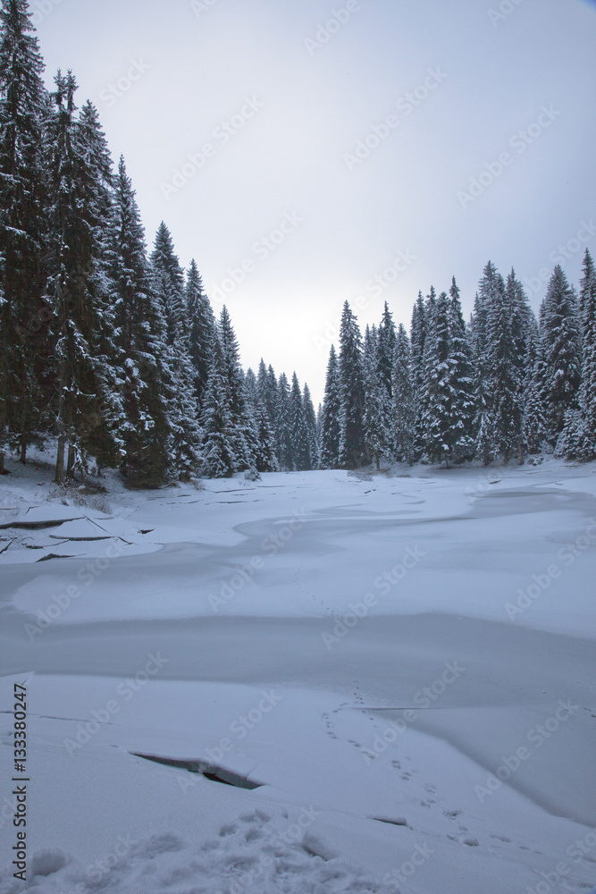 Winter high in mountain Winter high in mountain