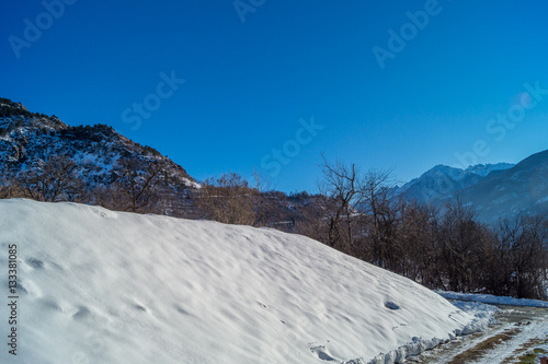Mountain lanscape with tree and snow under sun