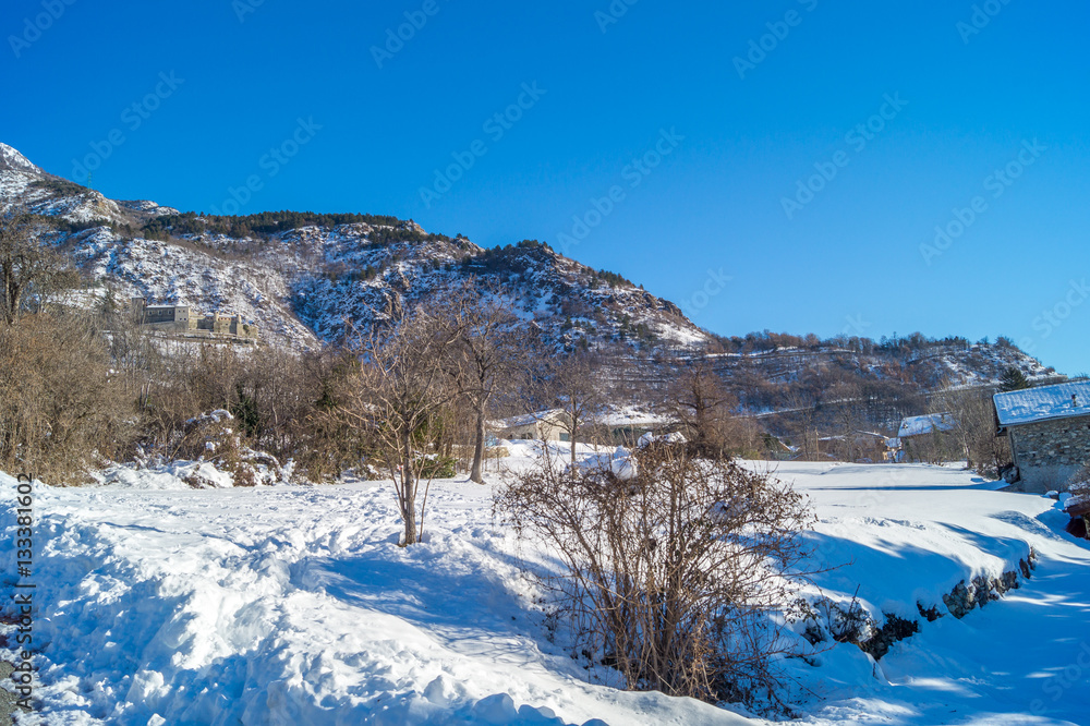 Mountain lanscape with tree and snow under sun