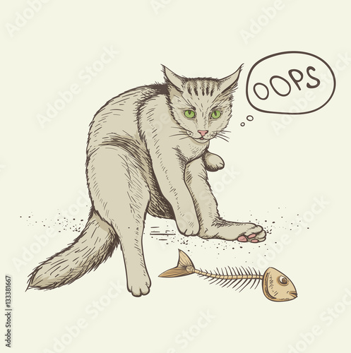 Cat and fish skeleton