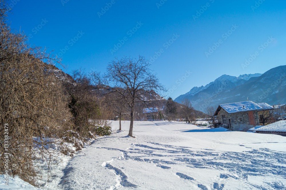 Mountain lanscape with tree and snow under sun Mountain lanscape with tree and snow under sun