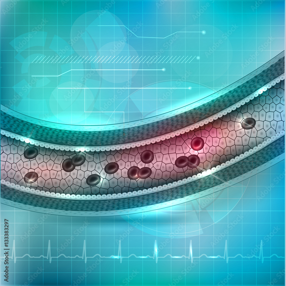 Healthy artery cross section anatomy, artery layers detailed illustration  on an abstract blue technology background and normal cardiogram at the  bottom. Erythrocytes inside the artery. Stock Vector | Adobe Stock