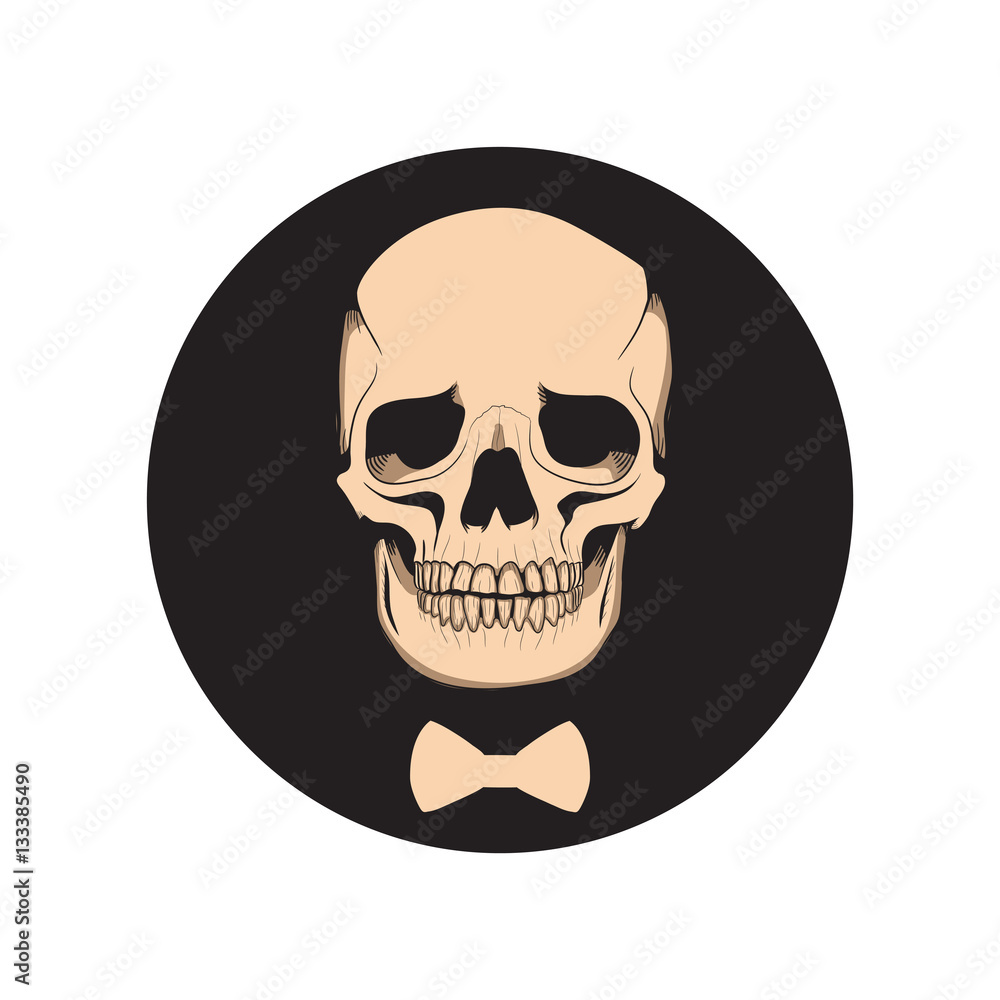skull skull