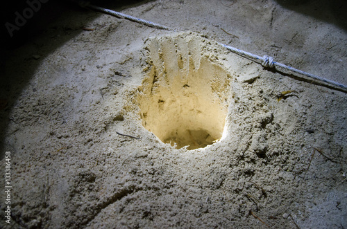 Turtle hatchery on the Selingan island photo