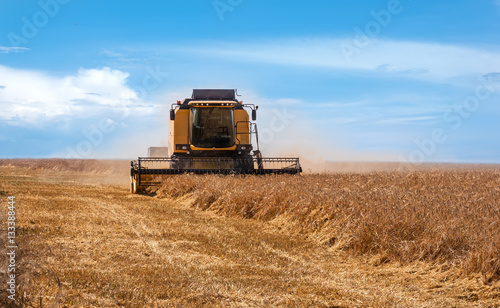 Combine harvester on a wheat field.