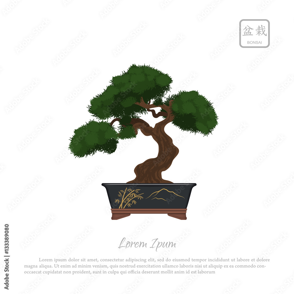 Bonsai tree in pot on white background. Text in japanese: "Bonsa Stock ...