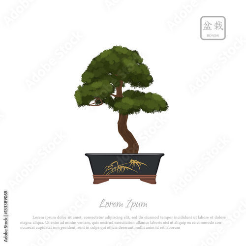 Bonsai tree in pot on white background. Text in japanese: "Bonsa