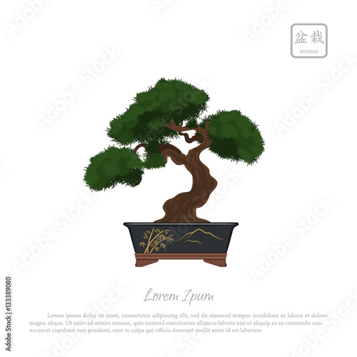 Bonsai tree in pot on white background. Text in japanese: "Bonsa
