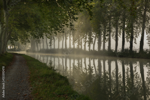 Fototapete canal du midi
