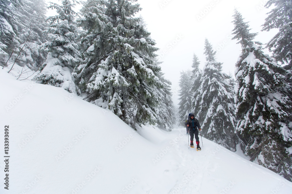 Man is hiking in winter forest on cloudy day