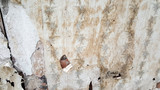 Fragment of old destroyed wall with jagged torn vintage wallpape