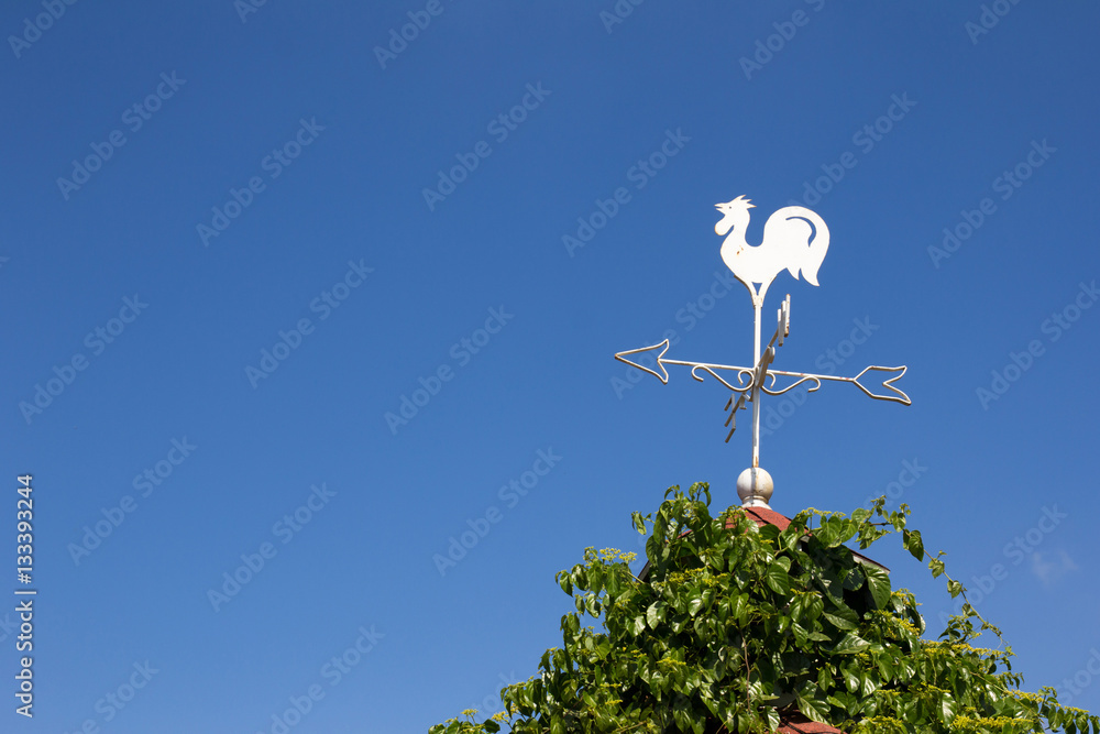 White rooster weather vane show the wind direction on blue sky b White rooster weather vane show the wind direction on blue sky b