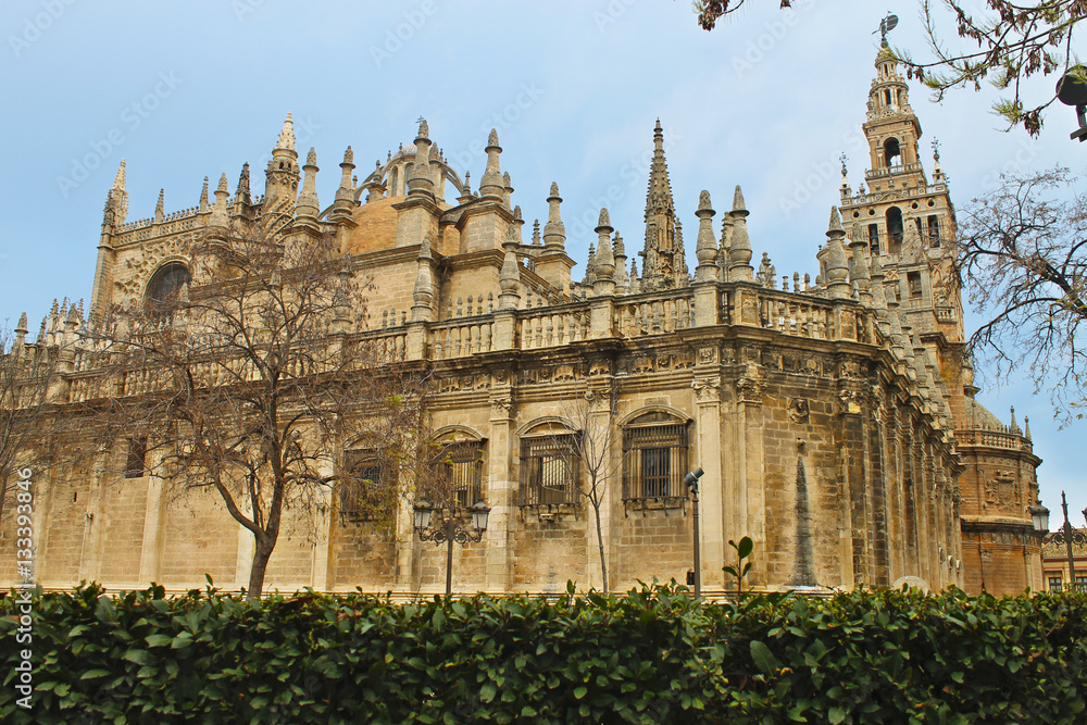Fototapeta premium Catedral de Sevilla, España