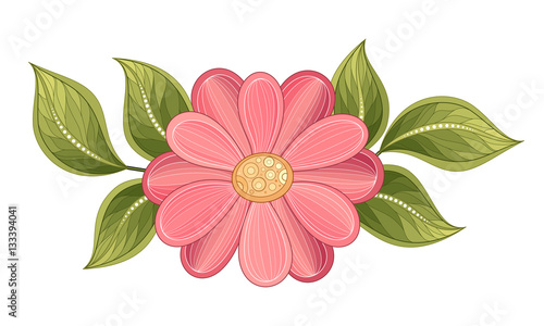 Vector Beautiful  Flower