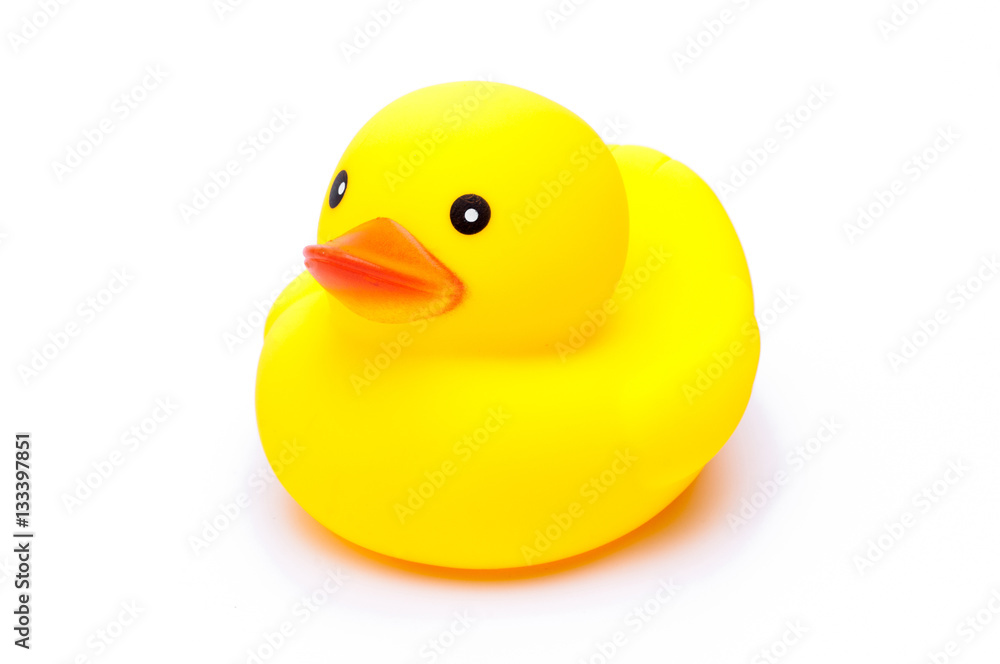 yellow rubber duck on white background. yellow rubber duck on white background.
