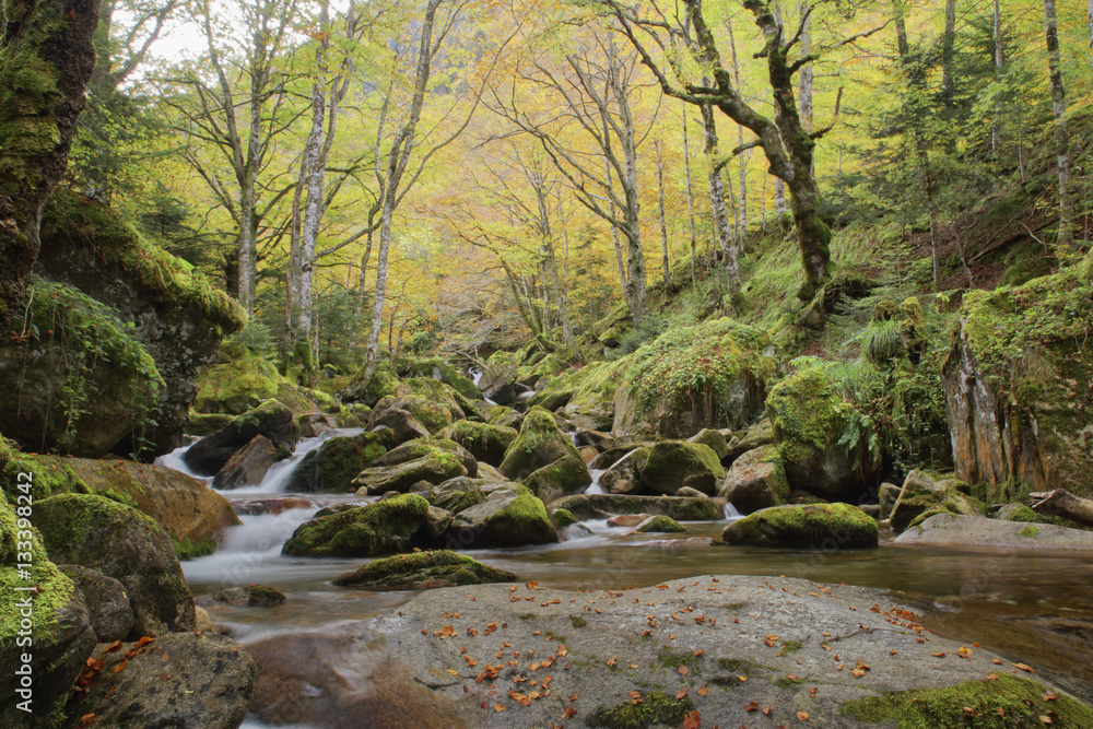 Belles couleurs d'automne dans les pyrénées