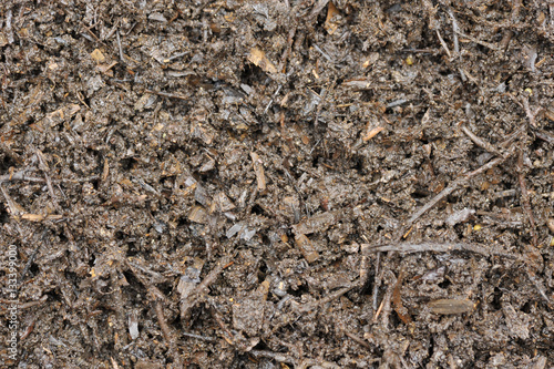 Obraz na płótnie Woodchips w salonie