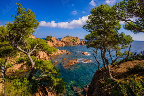 Foto calanque marquesa à Tamariu