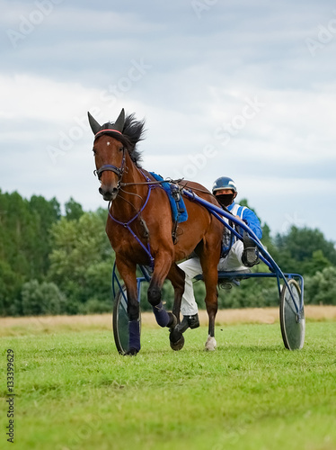 Trabrennsport - Pferd und Fahrer im Wettkampf, Hochformat