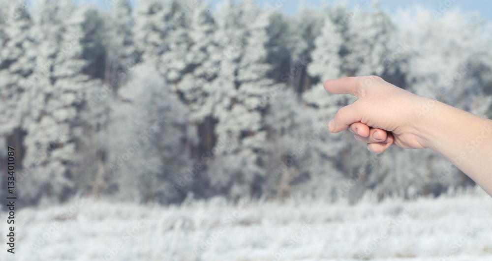 Human hand point with finger snowy winter forest Human hand point with finger snowy winter forest