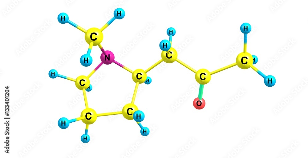 Hygrine molecular structure isolated on white Hygrine molecular structure isolated on white