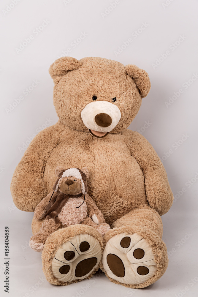 Oso de peluche gigante y oso aviador. Oso de peluche gigante y oso aviador.