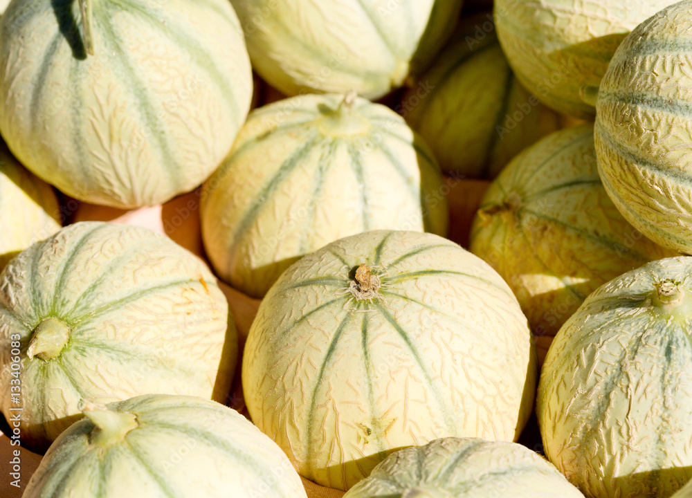 Cantaloupe melons in the market