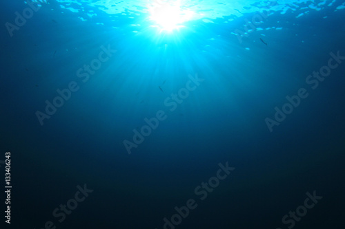 Underwater ocean background photo © Richard Carey