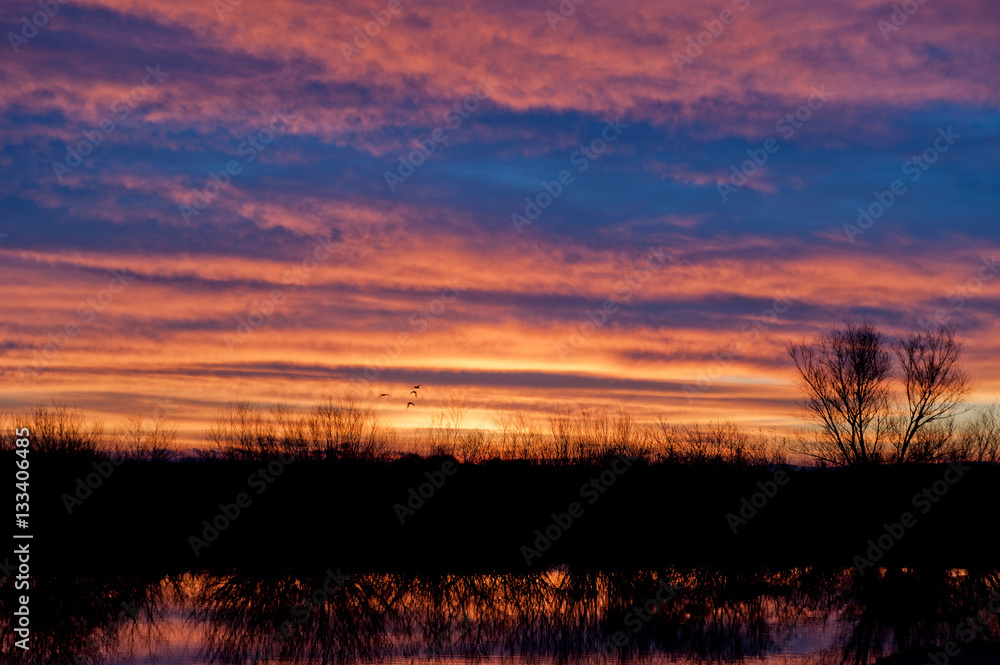 Fototapeta premium Sonnenaufgang am Teich