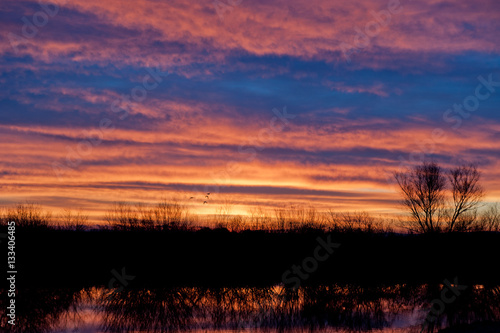 Sonnenaufgang am Teich © Manfred Herrmann