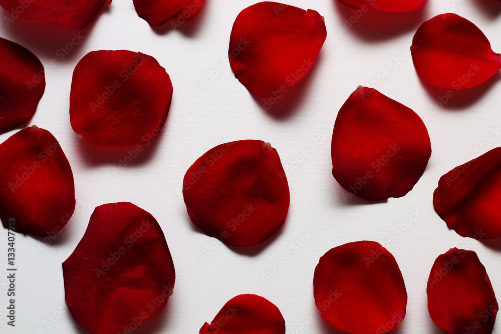 Petals of a red rose on a white wooden table. Petals of a red rose on a white wooden table.