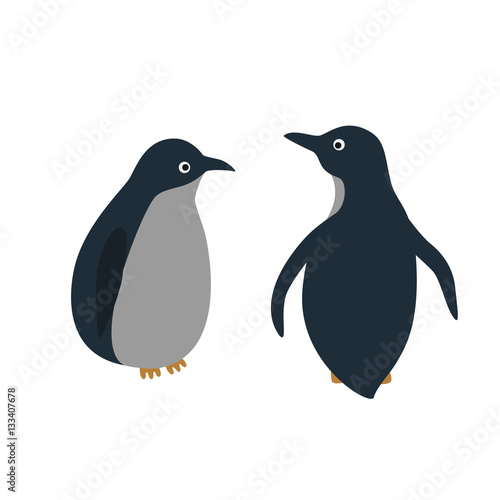 Vector cartoon style illustration of penguins.