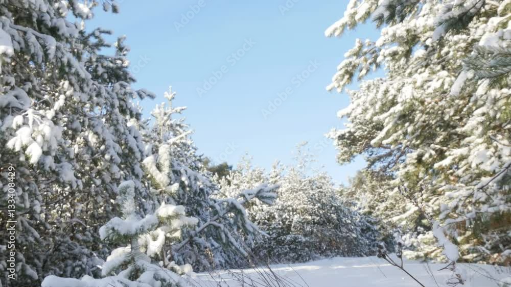 amazing winter landscape with snow and blue sky amazing winter landscape with snow and blue sky
