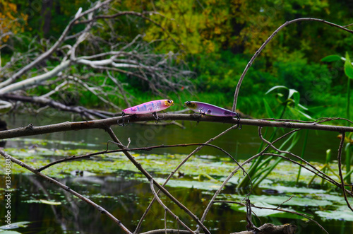 Fishing lures on a tree branch photo