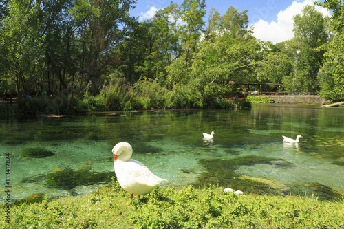 Crystal clear water photo