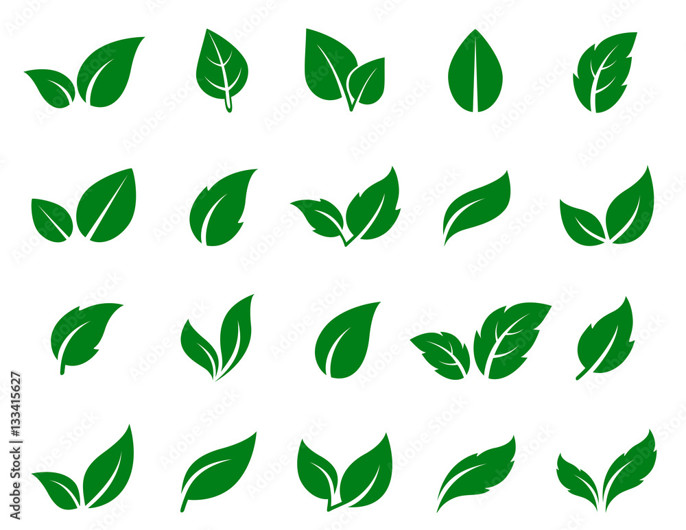 Plakat zestaw ikon zielony liść