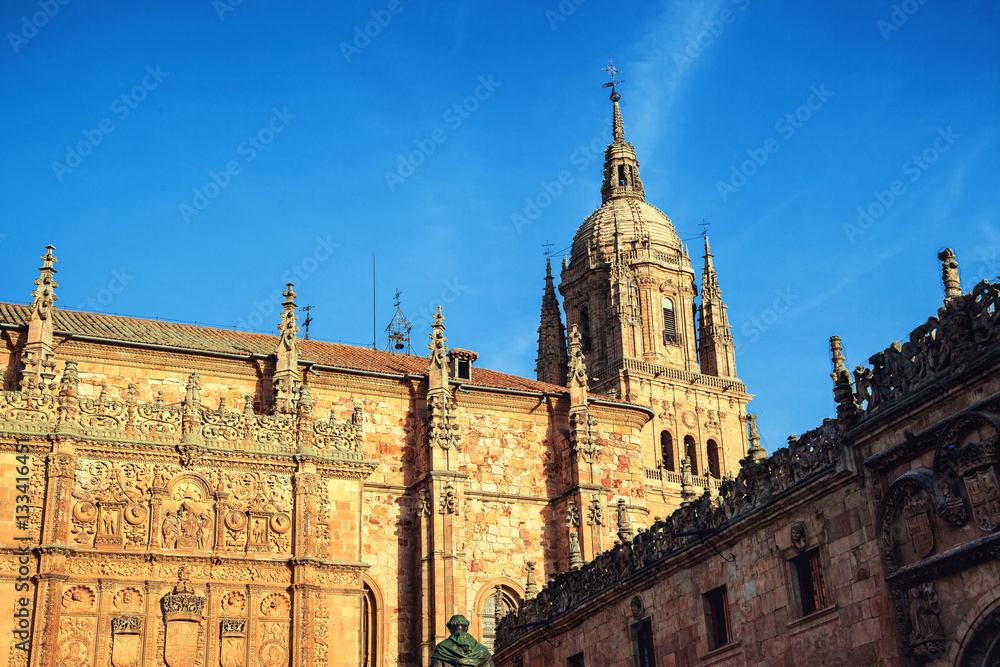 Tour d'une cathédrale , salamanca, Espagne 