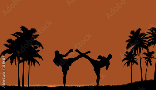 Illustration of two people engaged in martial arts on the beach.